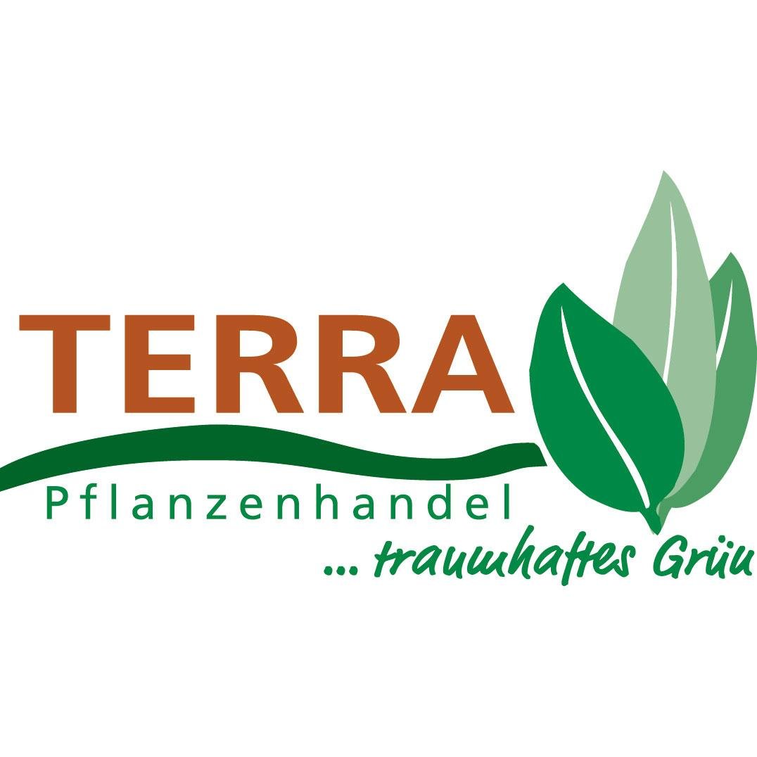 TERRA Pflanzenhandel - der Online Shop für Pflanzen und Garten, betrieben von der Marken Baumschule Ernst Ramcke. Impressum: http://t.co/blPpgXI9YO