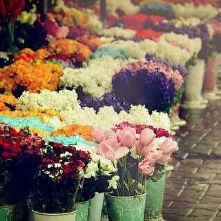 abozahrah10's profile picture. ‏‏‏‏‏​ماني ب ولد ملوك , ولا عندي بنوك ولاا عنديء موتر ﺎفتخر في وصوفہ ﺎفخر # اذا قالوا العرب' منهو ﺎبوك ﺎقولء ﺎبويء الليء كريمهه* كفوفہ