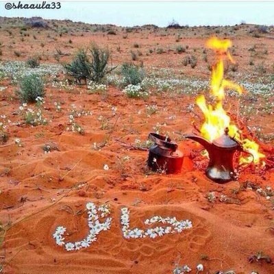 بكالوريس تاريخ الحضارة الإسلاميه