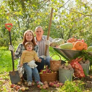 agro_huerto's profile picture. 