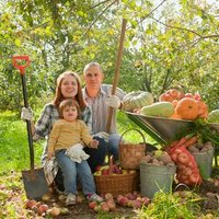 Agrohuerto.com (@agro_huerto) 's Twitter Profile Photo