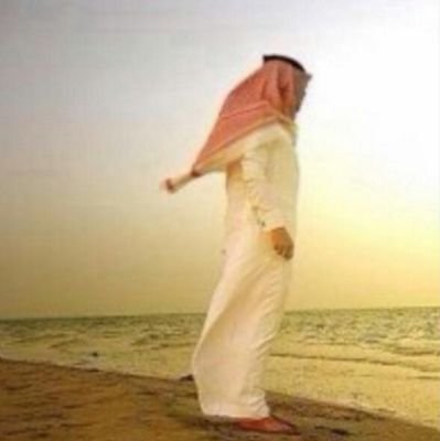 turkywebary Profile Picture