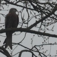 Paula Marzouk🏇 (@paulamarzouk) 's Twitter Profile