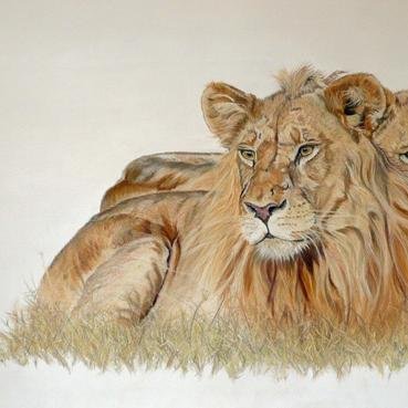 KtyWest's profile picture. Self-taught artist loves painting wildlife and animals. Her workshops bring out the artist in you,showing how to make your art come to life in front of you.