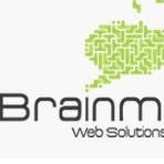 BrainMine Web Sol.