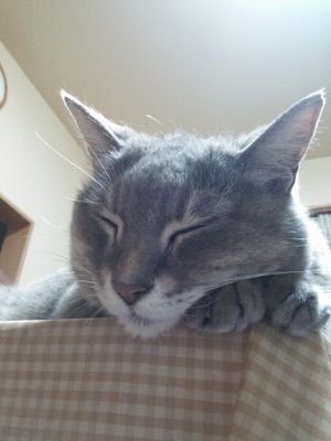 山ちゃん