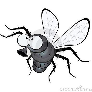 ElectionFly's profile picture. Keeping an eye on the Jersey Election 2018 for the Jersey Evening Post