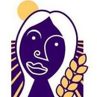 CERES CyL (@cerescyl) 's Twitter Profile Photo