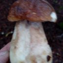 Roberto Niño urdanga - @OyerNi - Twitter