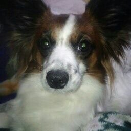 asami0937's profile picture. 