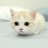 pilan021's profile image