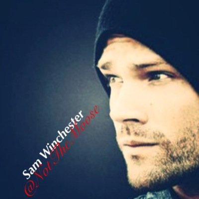 I'm a Winchester. hunter, computer nerd. gentleman. my brother, @GallantHawk and I are out to close the doors of hell. 21+MCRP