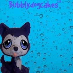 Bubblydogcakes's profile picture. Hello, I am a 13yr girl following her dreams, Don't forget to click that follow button and become a bubble!