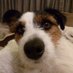 John Fillingham (@john_johnfill) Twitter profile photo John Fillingham (@john_johnfill) Twitter profile photo