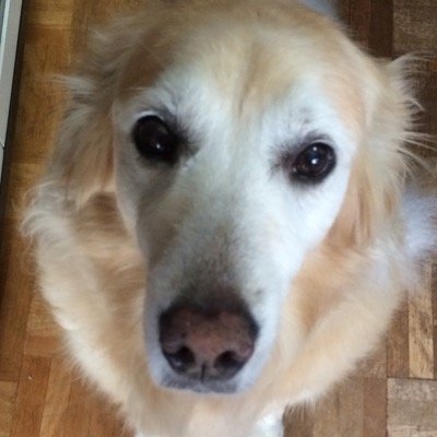 しおよし (@yosi2060) / Posts / X