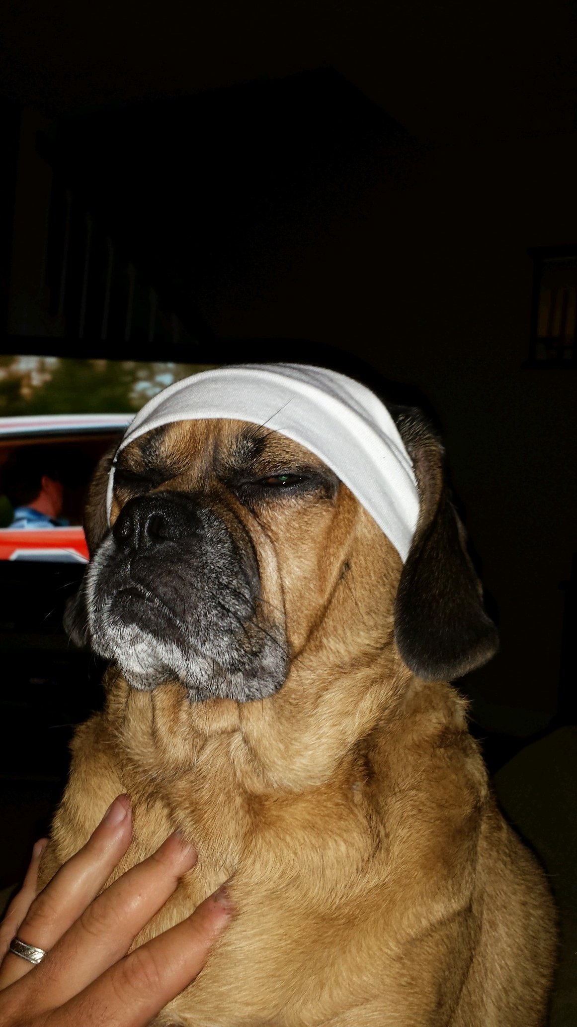 moneybaggz02's profile picture. 