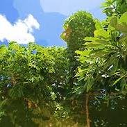 jisyora's profile picture. 様々な知識を蓄えていきたいです。よろしくお願いします。