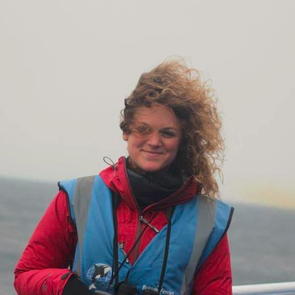 KerryHeseltine's profile picture. Science Teacher. Marine Biologist. Interested in promoting science & conservation through education.