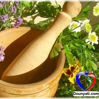 عطارة دنيتي هي موقع للطب البديل و خاصة طب الاعشاب حيث يمكنك التعرف على الاعشاب و مواطنها و فوائدها و اعراضها و طرق استعمالها.
