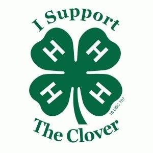 denysehensley2's profile picture. 