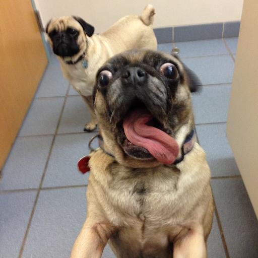 xxcmxc's profile picture. xD