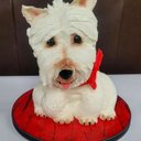 Anne Geraghty - @acupcake - Twitter