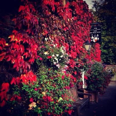 badgerfacegirl's profile picture. 