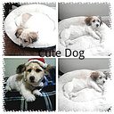 Terrell James - @TerrellJames15 - Twitter