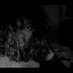 Damilola Odutayo (@damiodutayo) Twitter profile photo