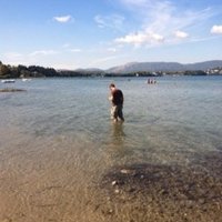 Will Lampe (@willartistree) 's Twitter Profile