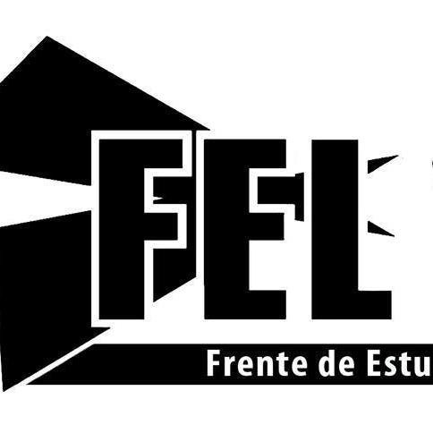 Frente de Estudiantes en Lucha (FEL) en la Universidad de Buenos Aires. 10 años de Estudiantazos y Democratización!