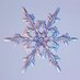 Flors Enversa (@florsenversa) Twitter profile photo Flors Enversa (@florsenversa) Twitter profile photo