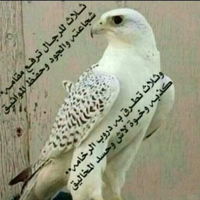 اللهم احفظ اليمن من كل شر