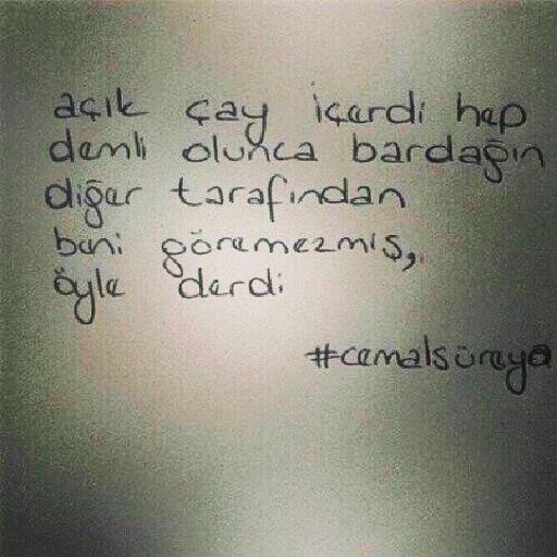 turkishpoetry's profile picture. 