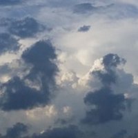 Docència FIP (@docenciafip) 's Twitter Profile