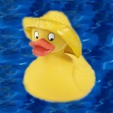 FrankDowsett's profile picture. just a guy, nothing special