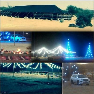 من شاعر صدره على الجزله يفوح