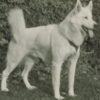 UConn Archives(@UConnArchives) 's Twitter Profile Photo