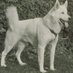 UConn Archives (@uconnarchives) Twitter profile photo UConn Archives (@uconnarchives) Twitter profile photo