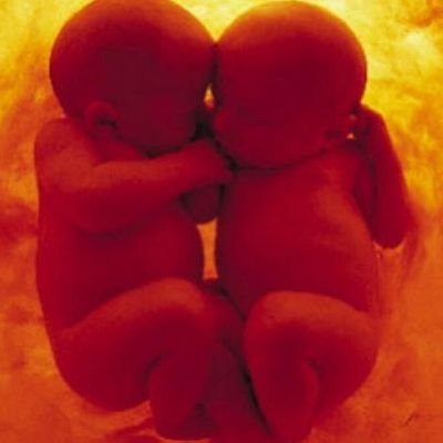 WillerAleAraujo's profile picture. Ing. Informática nacido en maracay, la vida me ha ense#ado a no confiar en nadie, vivir el momento xq los planes no funcionan.. los malit@s siempre juntos te am