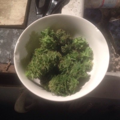 made for smokers by smokers♧ this is our own smoke life♧Snapchat: Weeddailynl