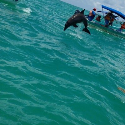 anneverzijlxx's profile picture. 15~ hockey is my life ♥ mb3~kaatsheuvel~