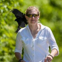 Rebecca S. Green (@jgrebeccagreen) 's Twitter Profile