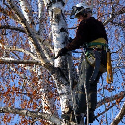 Modern techniques, old time quality
Call us now! (919) 443-3256