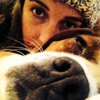 Sally Faulkner (@tarsiussallius) 's Twitter Profile Photo