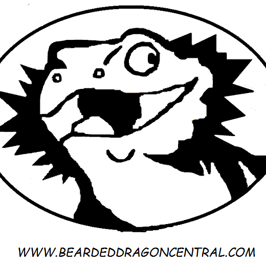 BDCentral1's profile picture. Home of the Crimson Red Line, Top Quality Bearded Dragons, Voted #1!