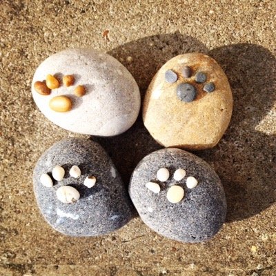 JcDogw's profile picture. DOG WALKING,HOME VISITS,CAT SITTING,PET TAXI and im Insured,DBS checked,canine first responder,non-smoker also now on FB Jc's Dog Walking Services