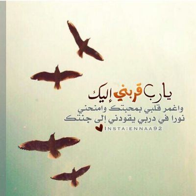 ass_xf's profile picture. لك الحمد والشكر ياالله ♡