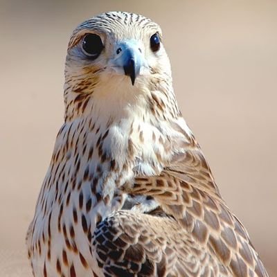 sqaish's profile picture. I love ..