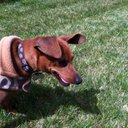 Mark Hearns - @mouse043 - Twitter